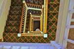 DSC03313.jpg