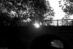 3M8H0047.jpg