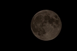 DSC03909.jpg