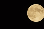 DSC03910.jpg