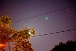 DSC03928.jpg