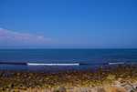 DSC00814.jpg