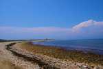 DSC00829.jpg