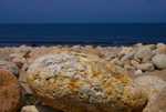 DSC00862.jpg