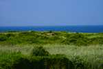 DSC00876.jpg