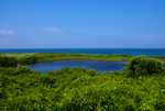 DSC00880.jpg
