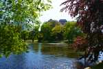 DSC00497.jpg