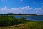 DSC00618.jpg