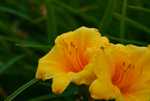 DSC00674.jpg