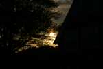 DSC00693.jpg