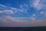 DSC00714.jpg