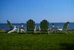 DSC00956.jpg