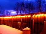 DSC02446.jpg