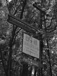 DSC02655.jpg