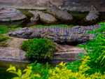 DSC02678.jpg