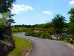DSC02709.jpg