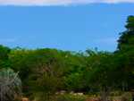 DSC02721.jpg