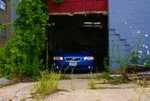 DSC01009.jpg