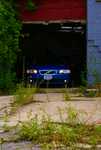 DSC01013.jpg