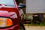 DSC01076.jpg