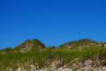DSC01223.jpg