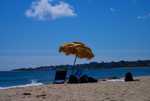 DSC01235.jpg