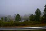 DSC02600.jpg
