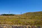 DSC02912.jpg