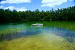 DSC02109.jpg