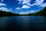 DSC02135.jpg