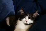DSC01696.jpg
