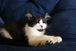 DSC01710.jpg
