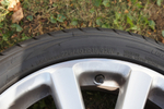 DSC00849.jpg