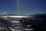 DSC01266.jpg