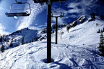 DSC01716.jpg