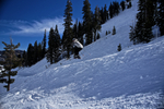 DSC01916.jpg
