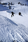 DSC01972.jpg