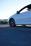 DSC00917.jpg