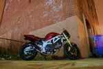 DSC01574.jpg