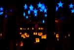 DSC02443.jpg