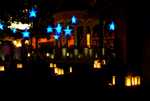 DSC02445.jpg