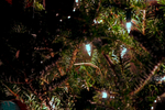 DSC01034.jpg