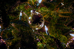 DSC01036.jpg