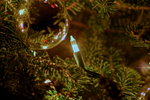 DSC01039.jpg